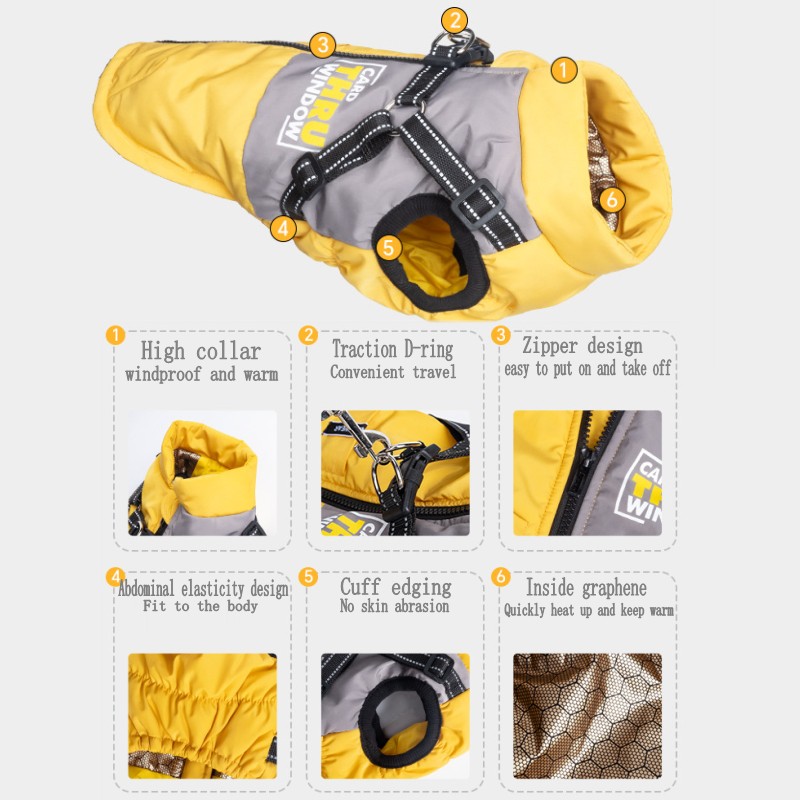 Chaqueta de Invierno para Perr - Jack Winter Clothing reseña y precio